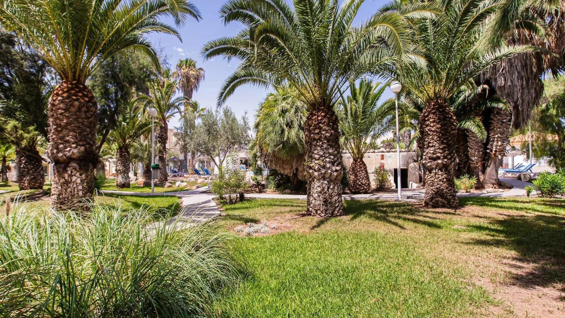 Lovely Apartment In Andaluc A Near Seabeach Las Salinas